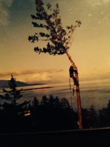 All Acres Professional Tree Service image