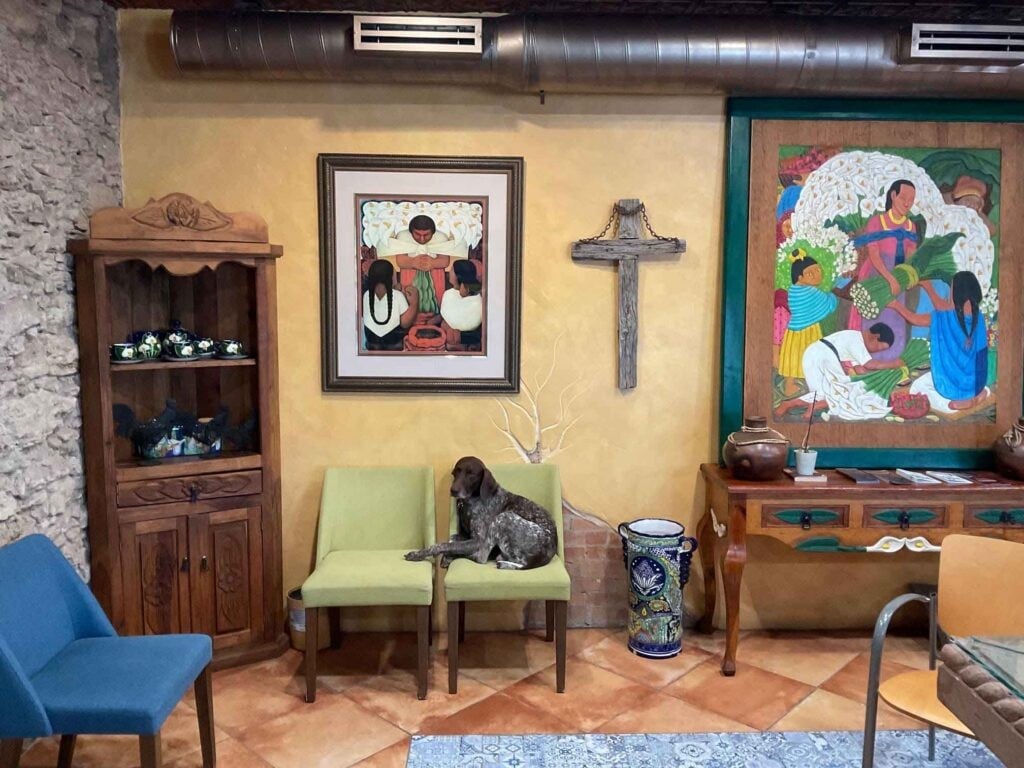 Office reception area of the Law Office of Calixtro Villarreal with seating, artwork, and decorative decor
